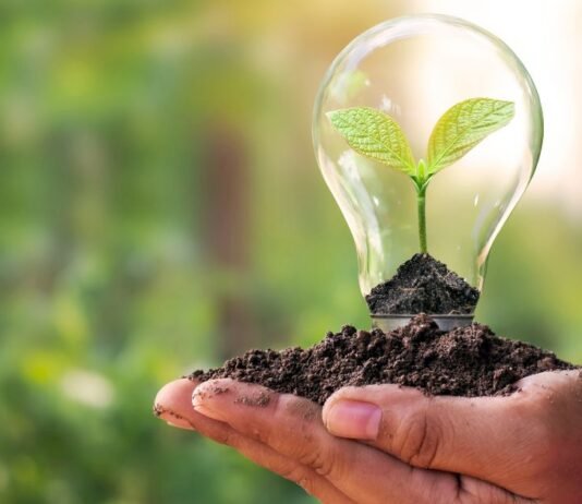 Environmental Education | जानें पर्यावरण शिक्षा के फायदे और इसके लाभकारी प्रभाव Environmental Education