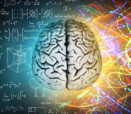 Humanities Education | मानविकी शिक्षा का महत्व और इसके फायदे: समाज, संस्कृति और व्यक्तिगत विकास के लिए क्यों है जरूरी? Humanities Education