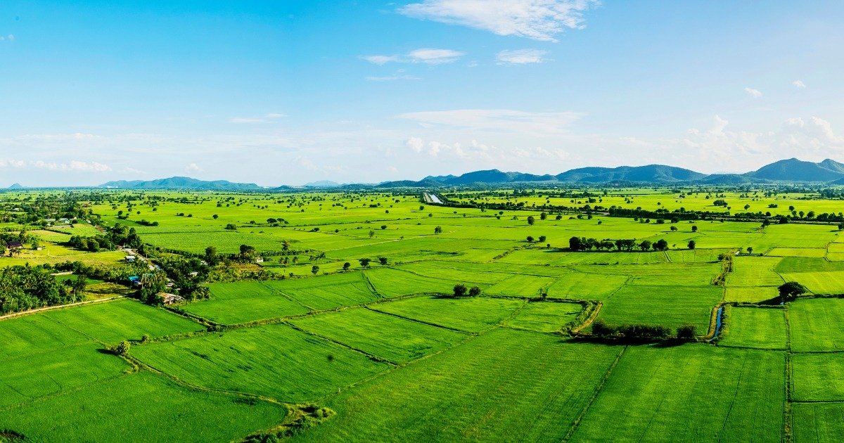 Green Property | हरित संपत्ति: पर्यावरण के अनुकूल निवेश का भविष्य 1 Land Property